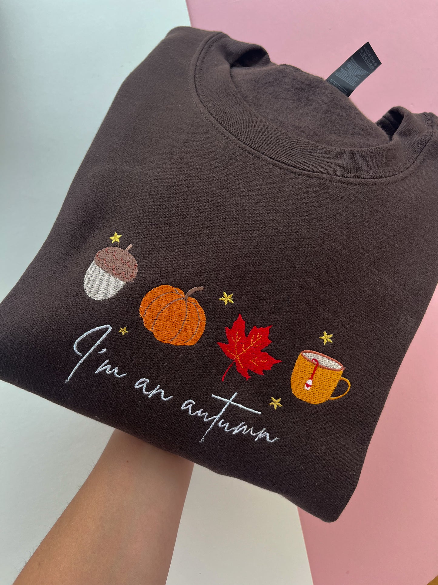 I’m an autumn Embroidered Sweatshirt